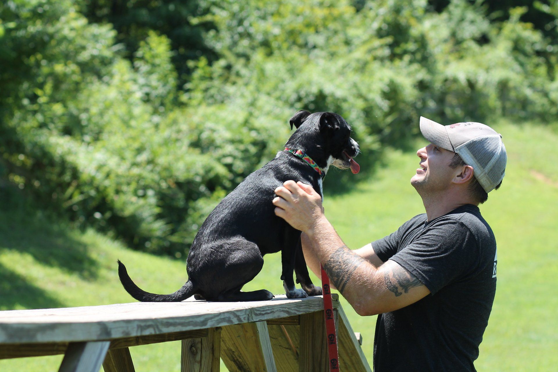 Man in a gray cap lifts a black dog on a wooden fence in a sunny park.