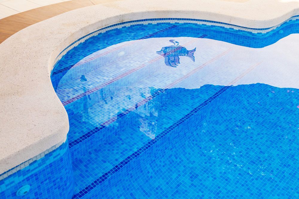 Swimming pool with a fish toy — Pool Cleaning in Redlynch, QLD