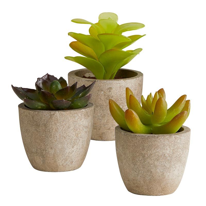 Unique Gifts For Your Home Albany, NY