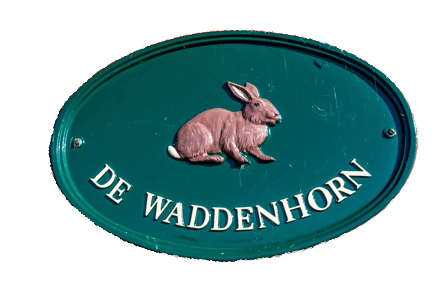 Logo Waddenhorn