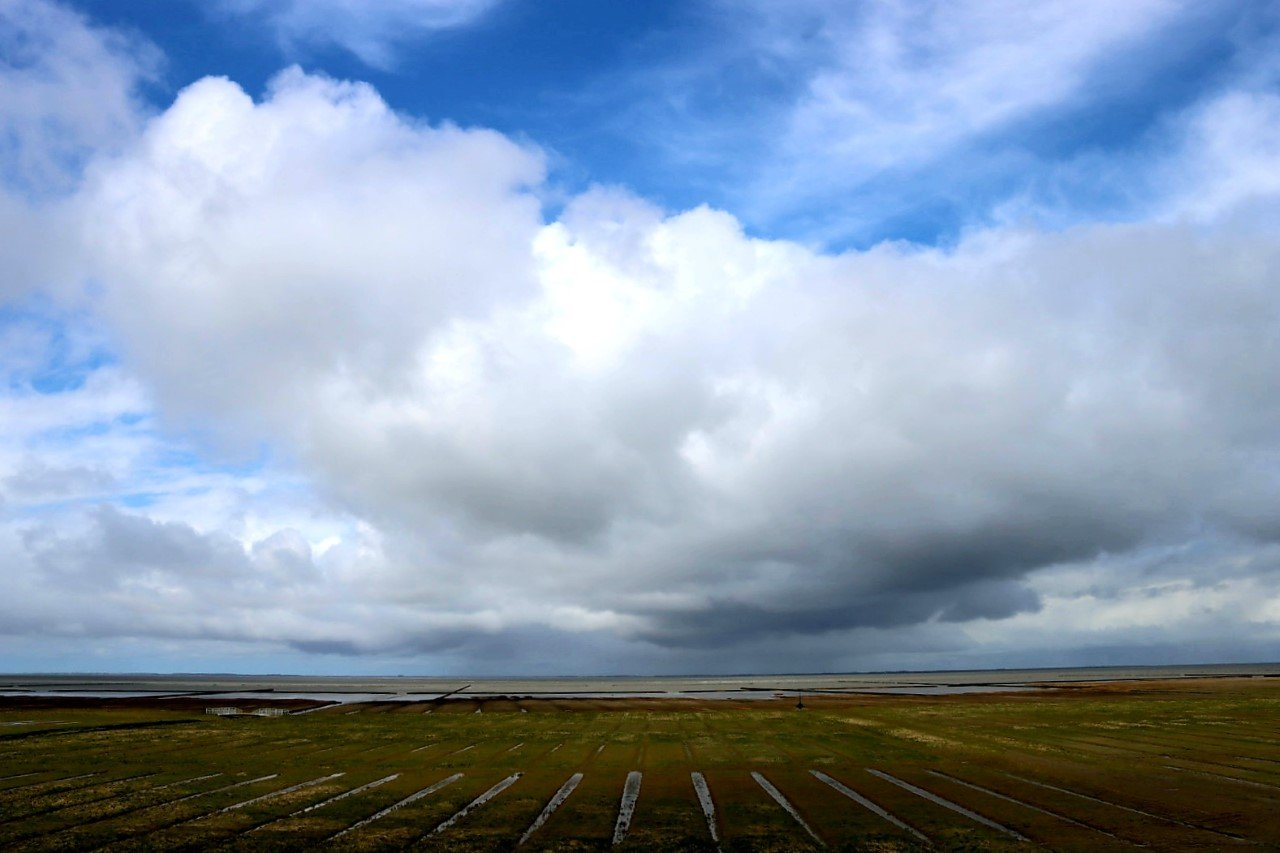 Hollandse luchten boven de kwelders