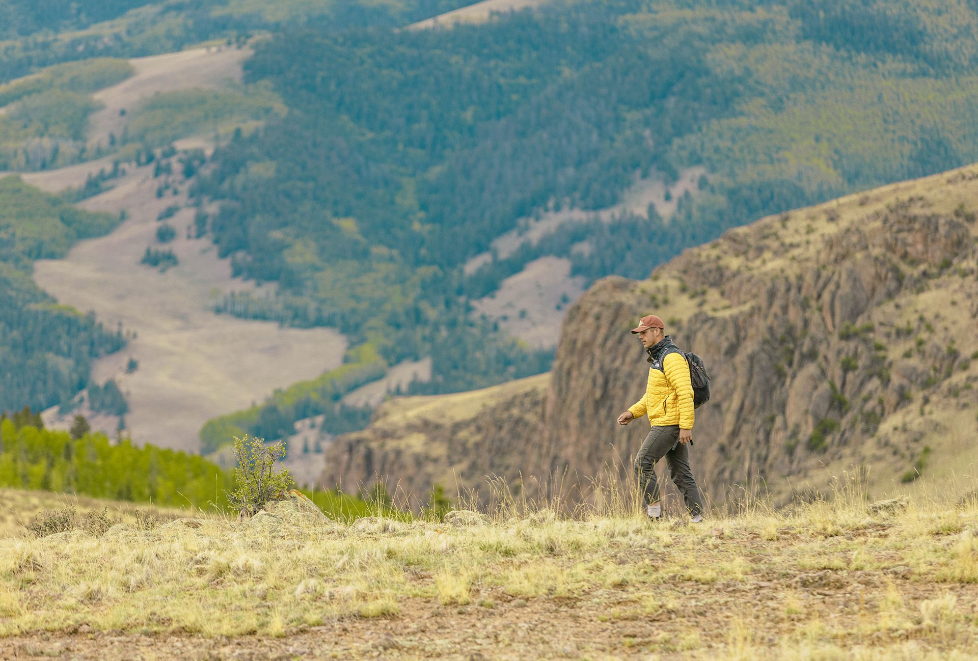 Person hiking on a grassy mountain slope, wearing yellow jacket, with valley and distant trees.