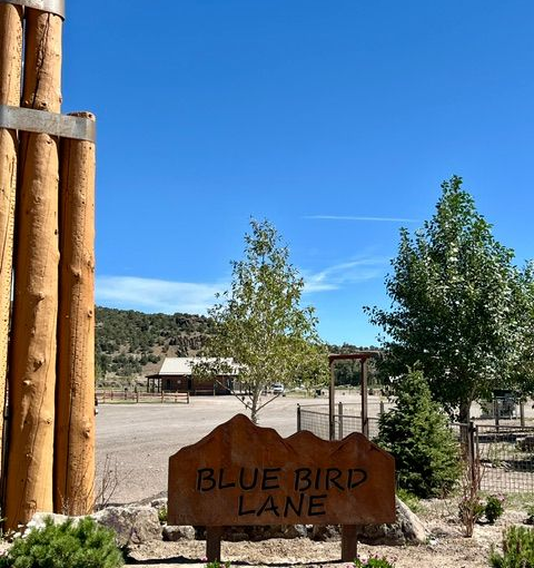 Wooden sign reading “Blue Bird Lane” beside trees and open land under a clear blue sky.