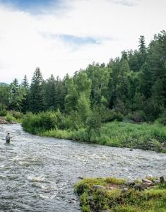 Wide river flowing through a green forested landscape under a cloudy sky.