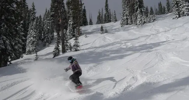 Skier in pink pants carving down a snowy slope with pine trees in the background