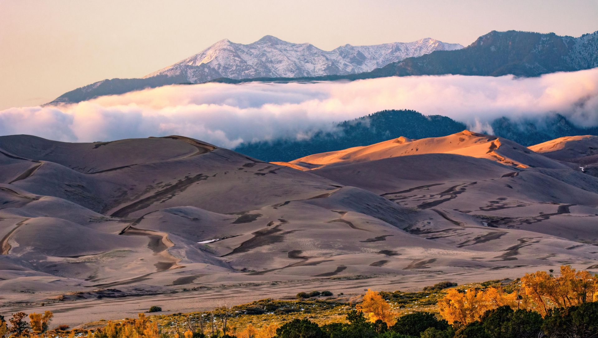 Snowy mountains above sunlit rolling hills with a low cloud bank at dawn