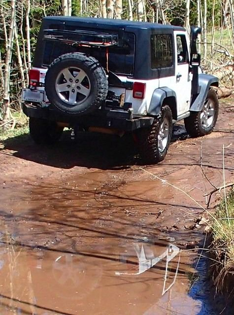White Jeep Wrangler driving through a muddy creek on a forest trail