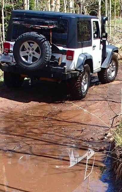 White Jeep Wrangler driving through a muddy forest trail, rear view with spare tire visible