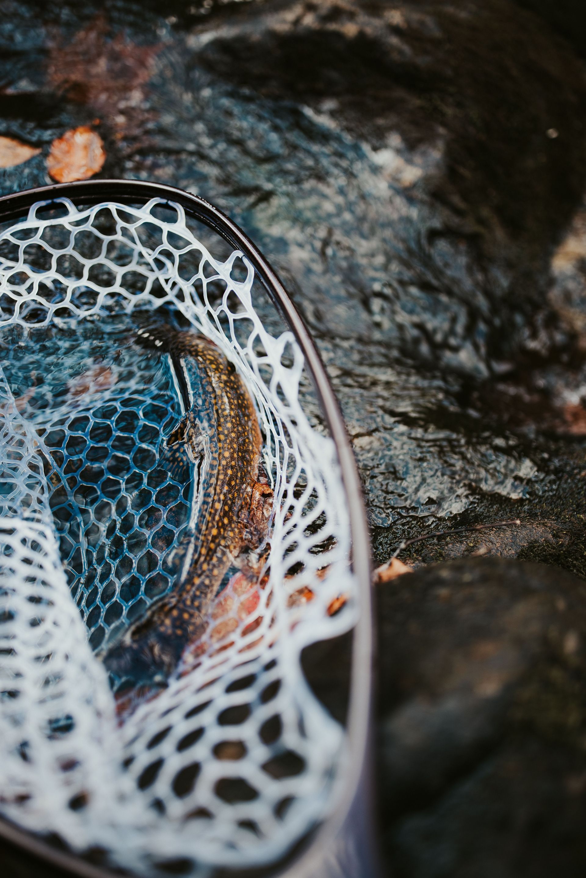 Close-up of a fishing net with a white and blue mesh on wet rocks