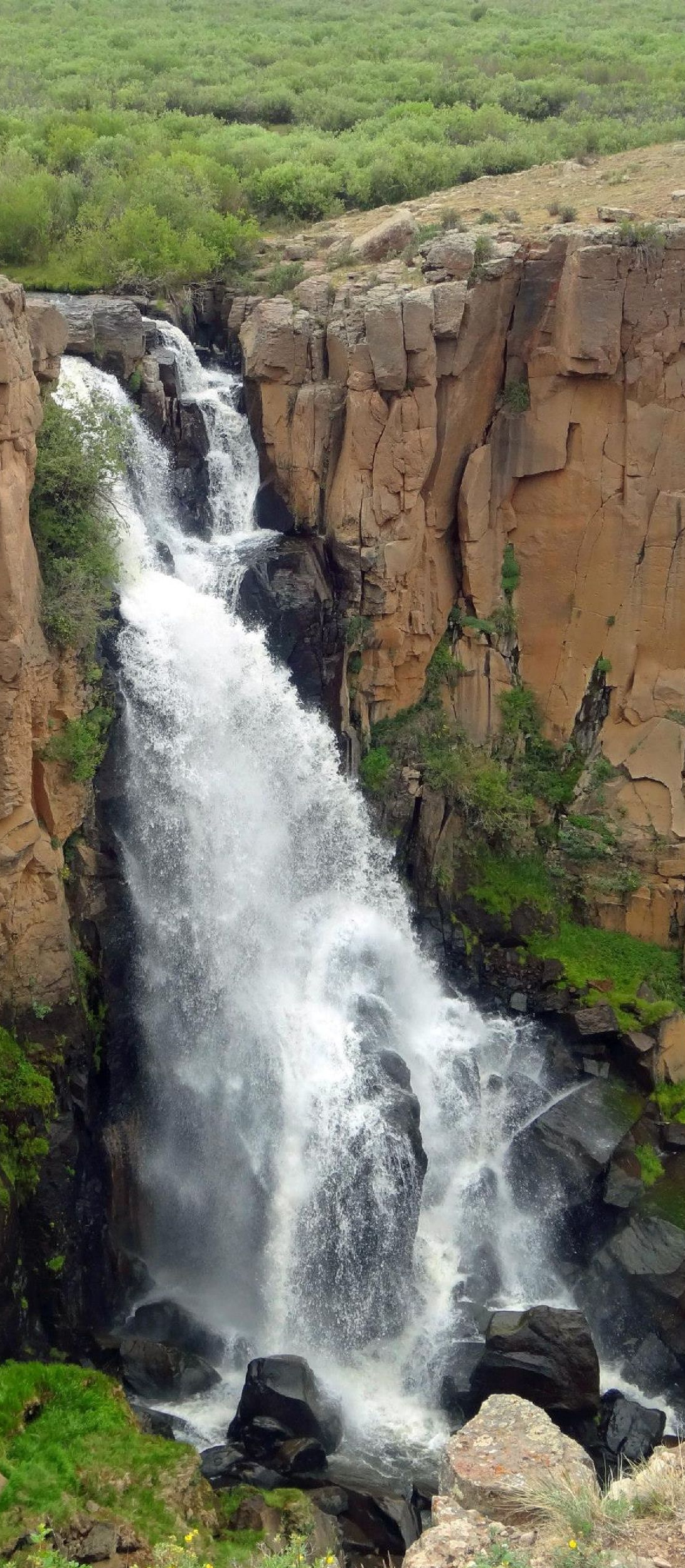 Tall waterfall cascading down a rocky cliff into dark water, surrounded by green vegetation.