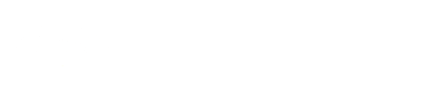Palmetto Creative logo