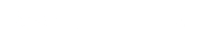 Palmetto Creative logo