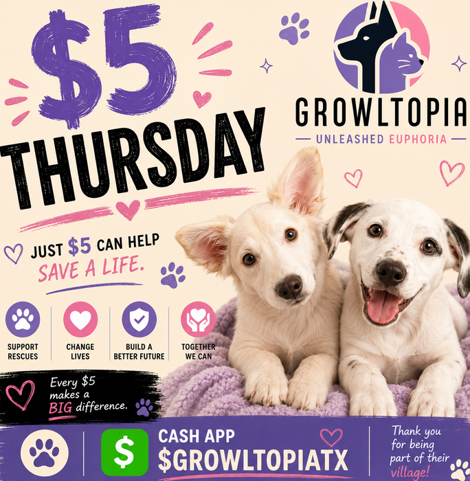 $5 Thursday dog rescue fundraiser poster with two white puppies on a pink background
