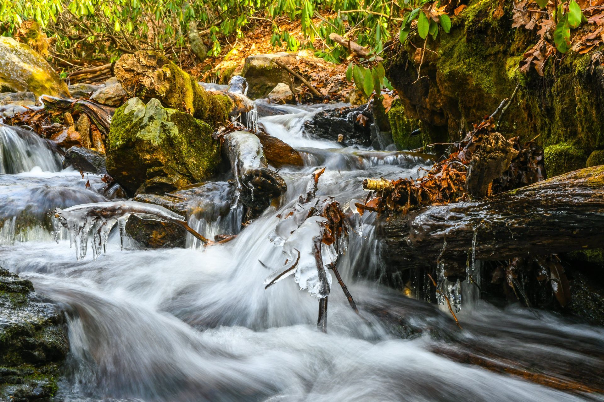 Mountain stream cascading over mossy rocks in a lush forest, with white water flowing through fallen branches