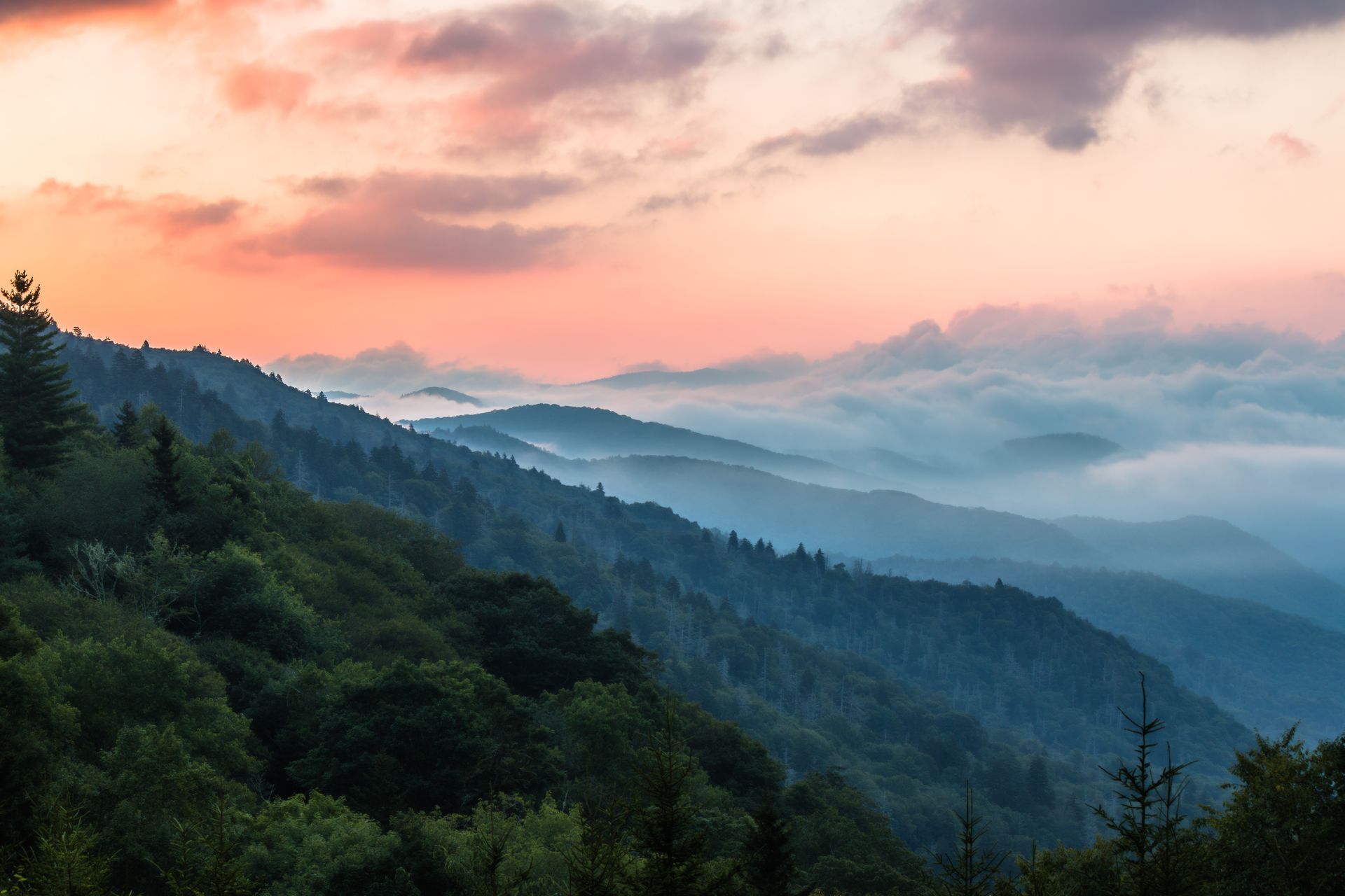 A sunset illuminates a mountain range with layers of forest and valleys filled with rolling mist under a pink sky.