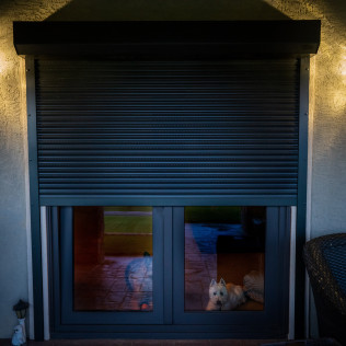 A dog is laying in front of a window with a shutter on it.