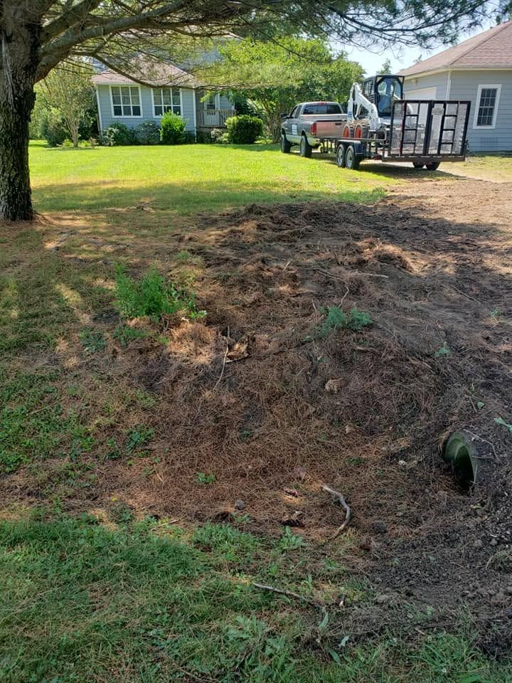 Yard with bare dirt and pine straw under trees, front house in background, truck and shed on driveway