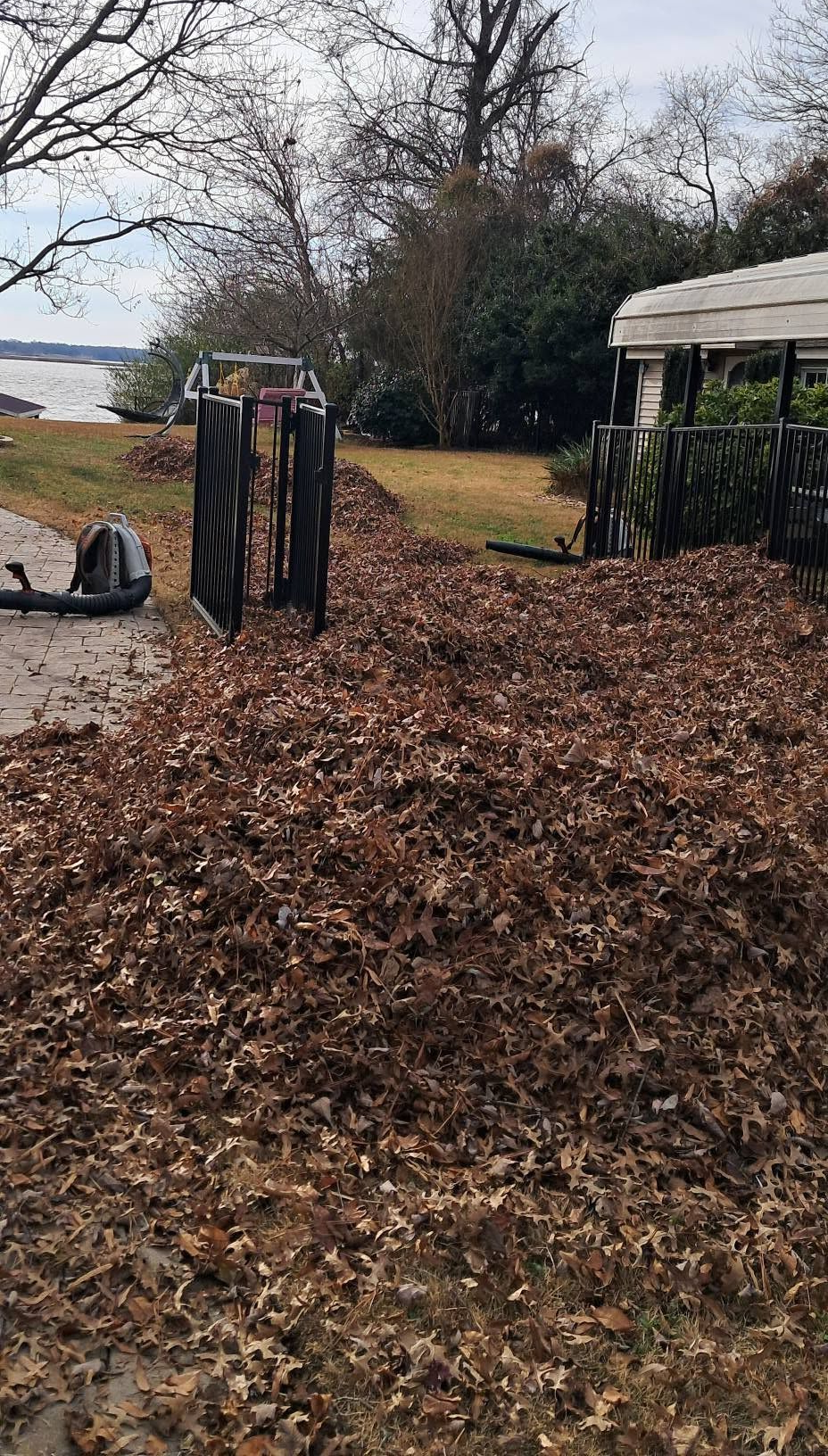 Outdoor yard covered in brown leaves, with two black garden chairs and a white canopy tent near the edge of a lake.