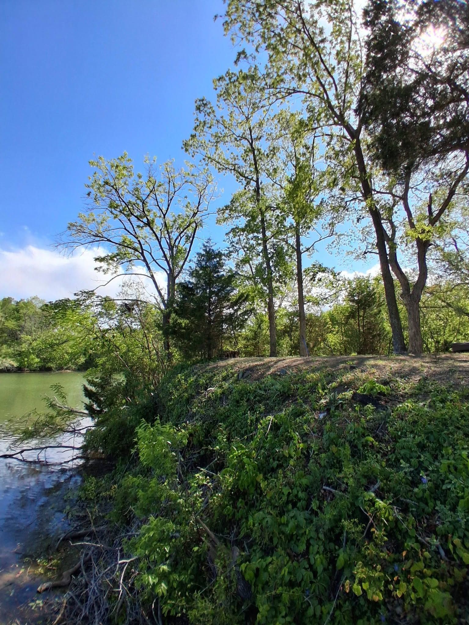 Lush riverside path with trees, green foliage, and a bright blue sky beside calm water