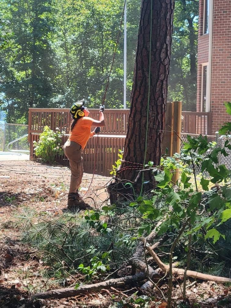 Worker in orange shirt using a chainsaw near a large tree beside a brick building.