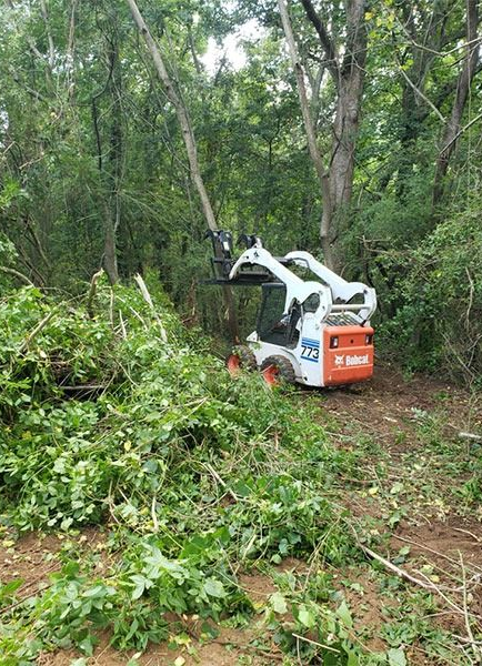 Small white Bobcat excavator clearing brush in a wooded area with cut branches in the foreground