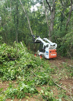 White Bobcat skid-steer clearing brush in a wooded area.