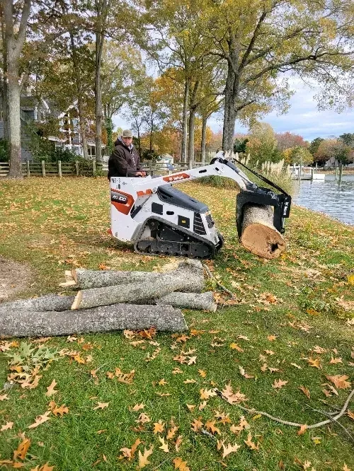 Worker in a Bobcat loader lifting a log beside cut tree trunks in a leafy park by the water.