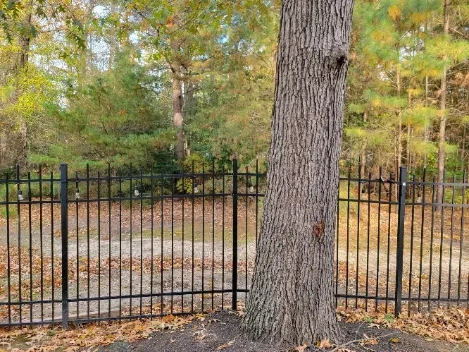 Black metal fence in front of a large tree in a wooded yard with autumn leaves