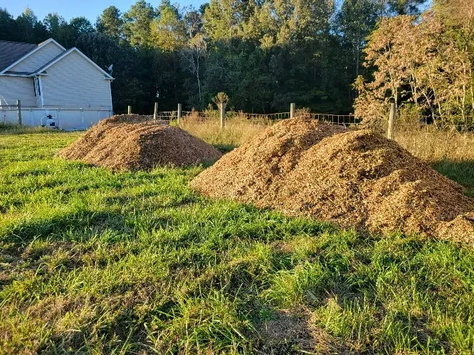 Two piles of mulch in a grassy yard beside a white house and trees at sunset
