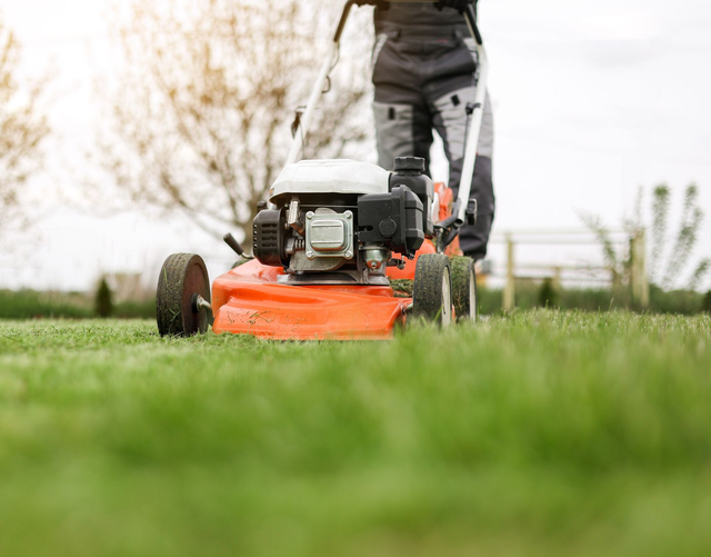 Person mowing a green lawn with an orange push mower outdoors