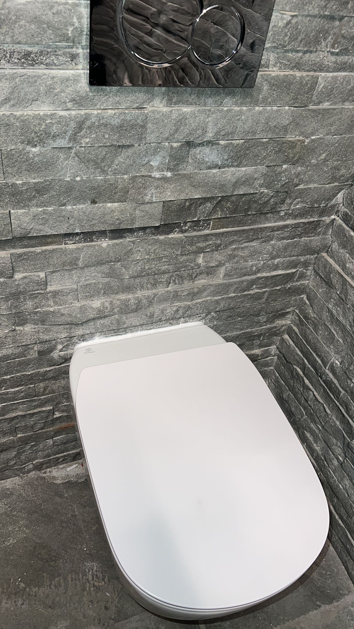 Un water è posizionato in un bagno, accanto a un muro di mattoni.