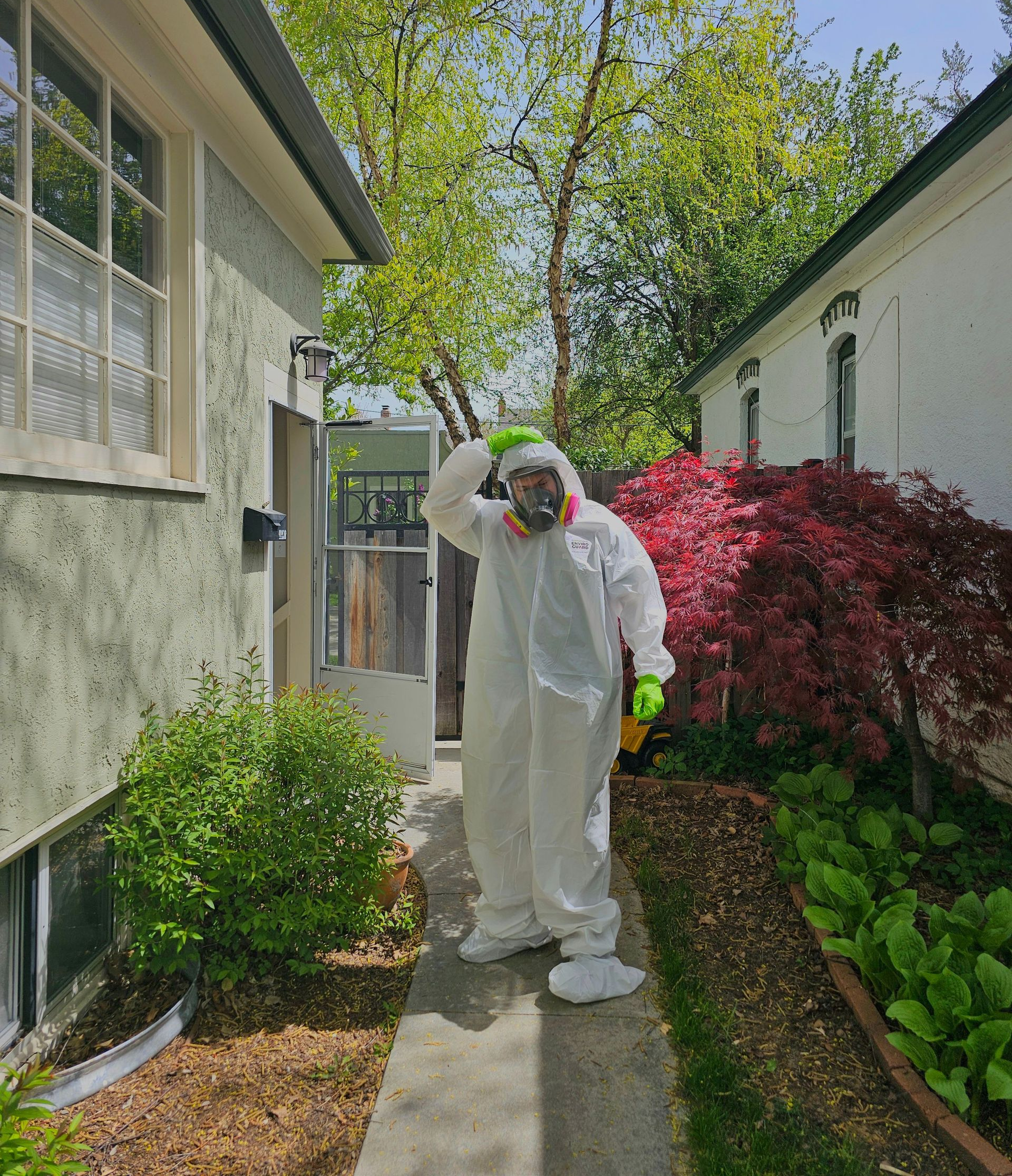 Person in white protective suit spraying a garden path beside a house and flowering shrubs