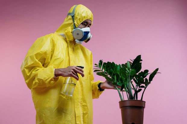 Person in yellow protective suit and gas mask watering a potted plant against a pink background