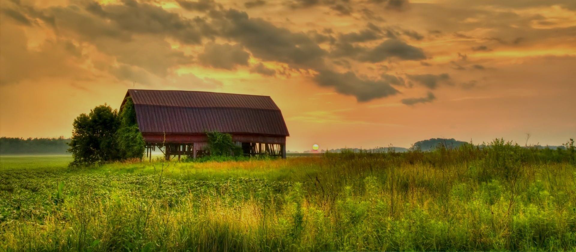Schad and Zabel Funeral Homes | Plainview,, MN