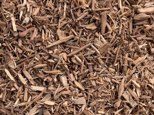 Brown wood mulch, covering a ground surface.