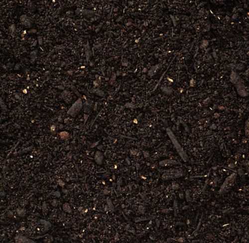 Close-up view of dark, rich soil with visible organic matter.