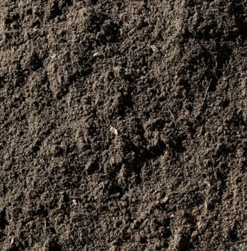 Close-up view of dark, rich soil texture.
