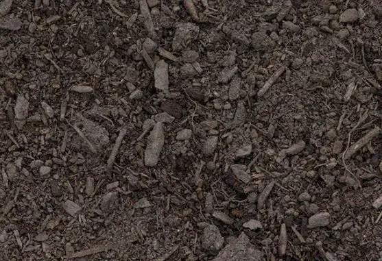 Dark brown soil with visible wood chips and small stones.