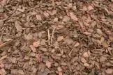 Brown mulch, small wood chips and leaf fragments.