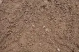Close-up of brown dirt and small rocks.