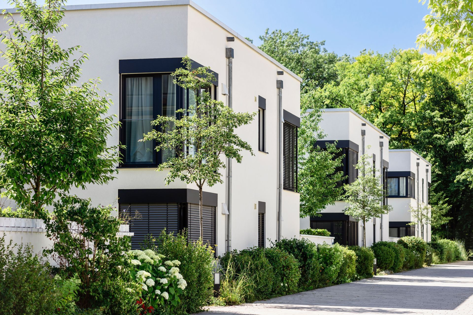 Modern white apartment buildings with black windows and lush greenery along a quiet street