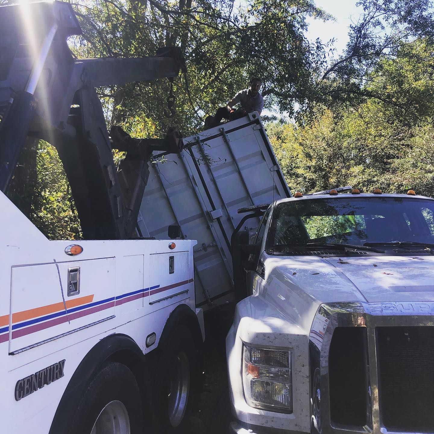 A tow truck attempting to lift a white container that's lodged in a tree. The vehicles are in a wooded area.