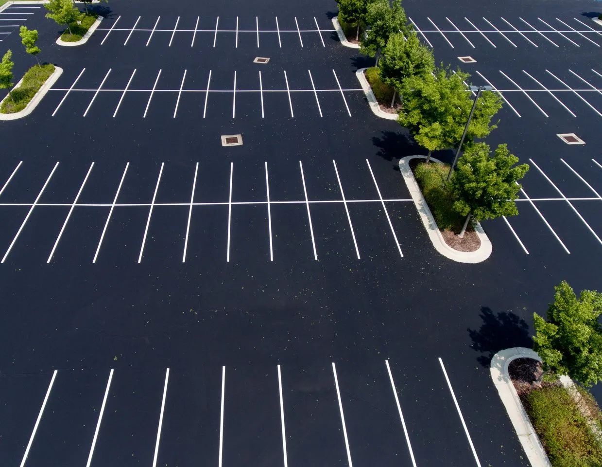 Empty parking lot with white lines and small trees in planter islands