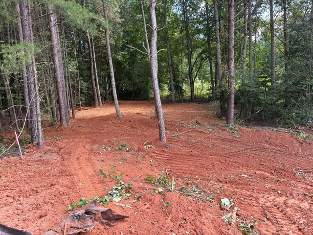 Cleared red dirt path through a wooded area with tall trees and green foliage