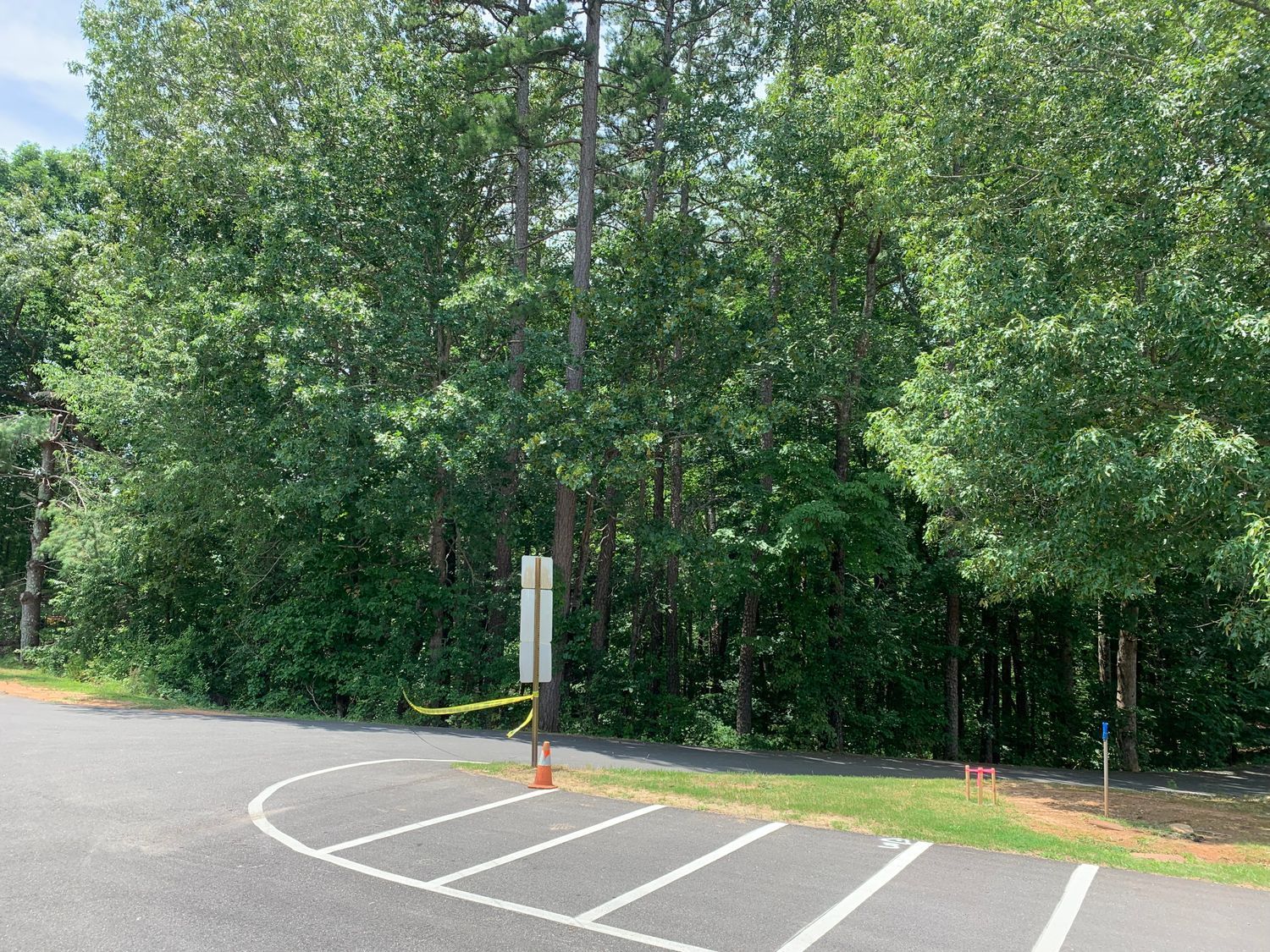 Curved parking lot edge beside dense green trees and a utility pole