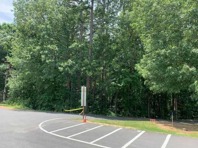 Curved parking lot edge beside dense green trees and a utility pole