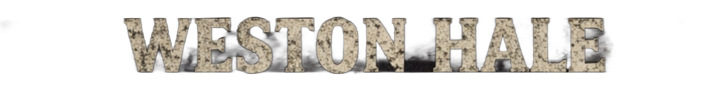 The text