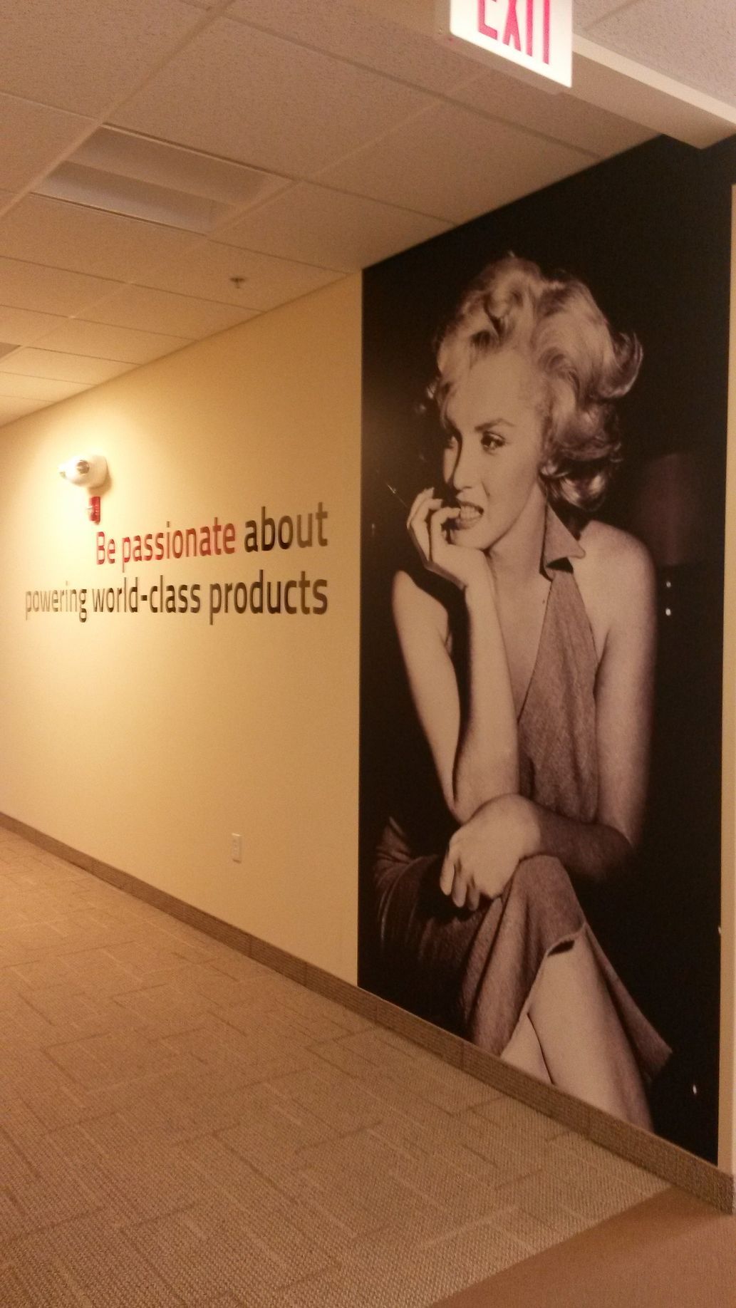 Hallway wall with Marilyn Monroe poster and text reading “I don’t care about expensive products.”