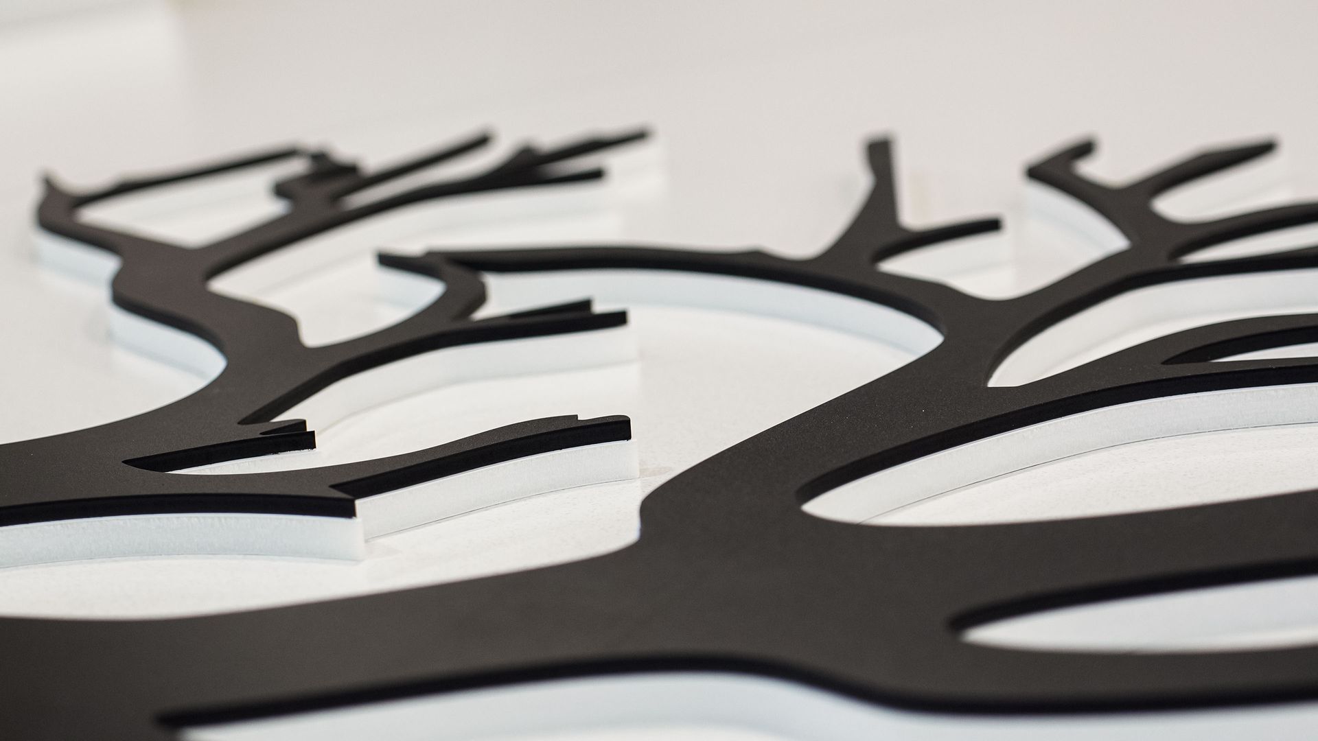 Black branching cutout design on a white background, resembling abstract tree limbs or roots