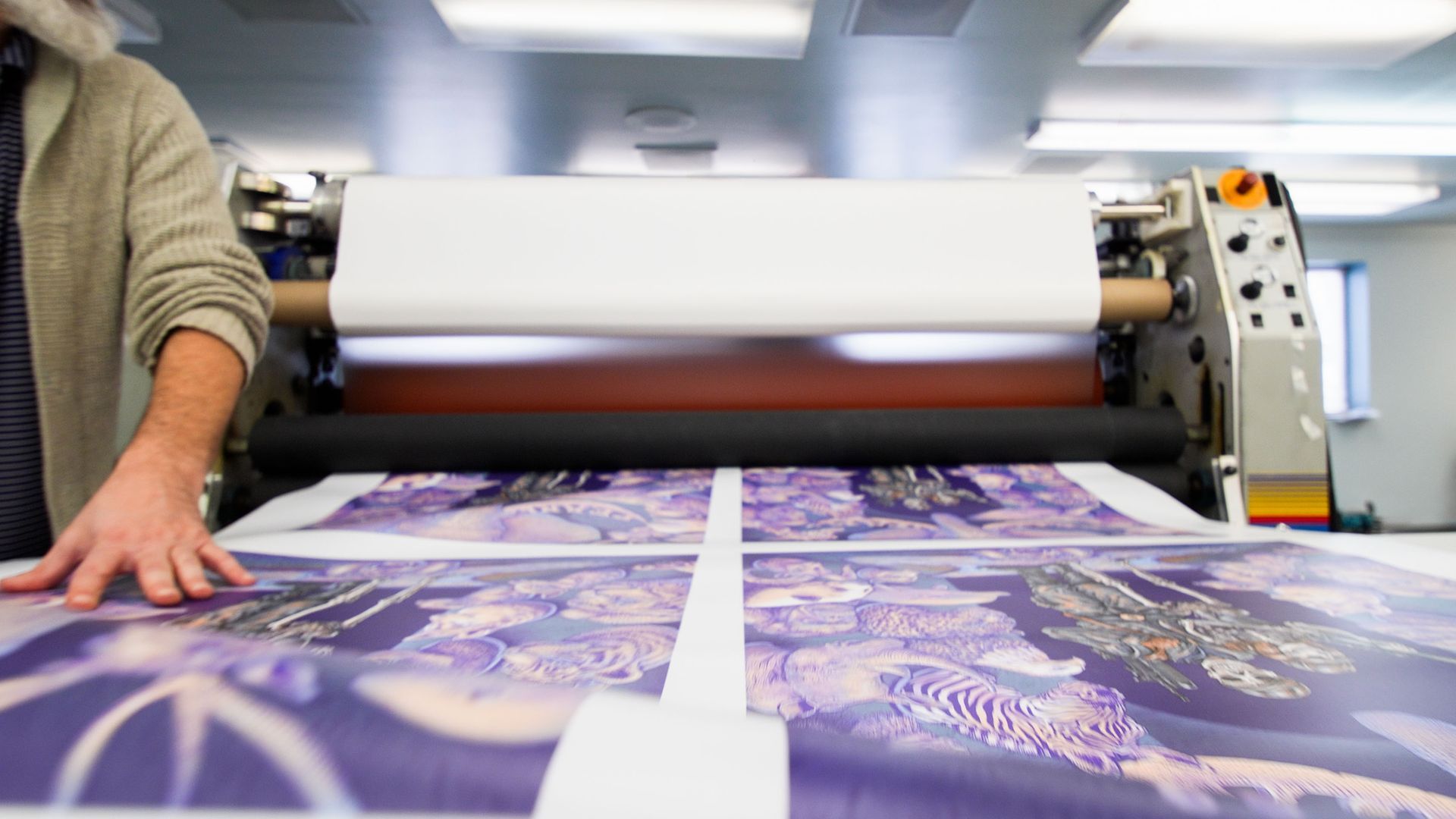 Large-format printer producing purple poster prints on paper roll
